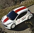 Peugeot 207 RCup